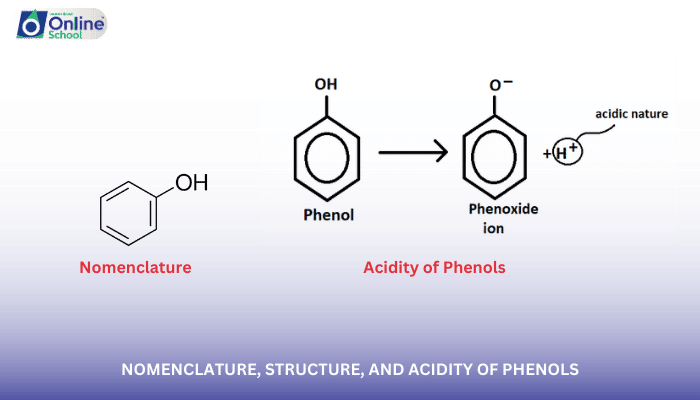 Lesson 06: Nomenclature, Structure, and Acidity of Phenols